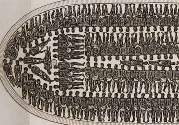 African slave ship diagram 1