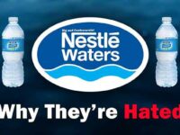 Nestlé May Sell Its Bottled Water Brand In The US And Canada – What Is Behind This Maneuver?