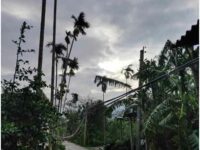 A survivor’s tale: “Two weeks since Amphan. No sign of electricity”.