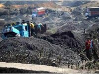 Letter To Prime Minister On Coal Auction