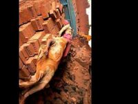 Death of two girls in Tamilnadu brick industry