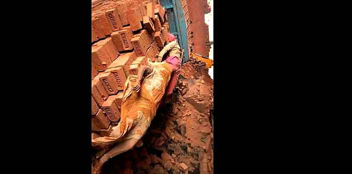 two girls died inside bricklin industry
