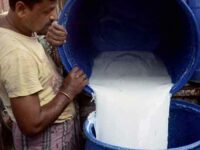 The plight of Milk Producers in Odisha need urgent attention of Government