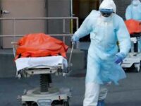 The Pandemic: Global cases top 100 million