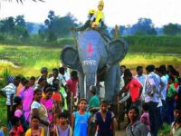 In Paraswadi, Gond festivities begin with a procession of Ravan on an elephant float. Photo: Arunangsu Roy Chowdhury.