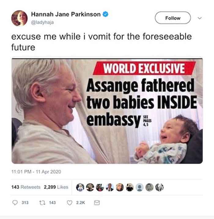 assange fake news