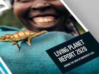 The Dying Planet Report 2020