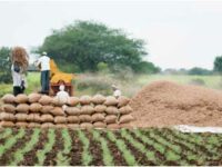 Modi’s Farm Produce Act Was Authored Thirty Years Ago, in Washington D.C.