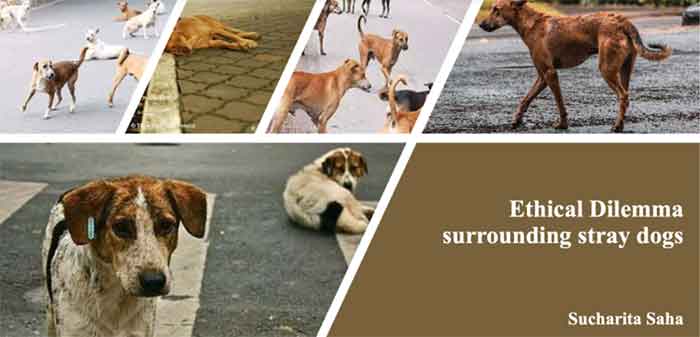 Ethical Dilemma Surrounding Stray Animals| Countercurrents