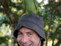 David Weiller: Meditating on the world’s rainforests