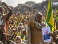 Wider Meanings of Indian Farmers Movements to Reclaim the Republic and Beyond