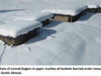 Kashmir: Romance And Rigours Of Snow