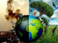 Ecology And Economics