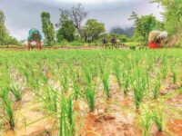 Need to adopt practical alternative ways to double farmer’s income