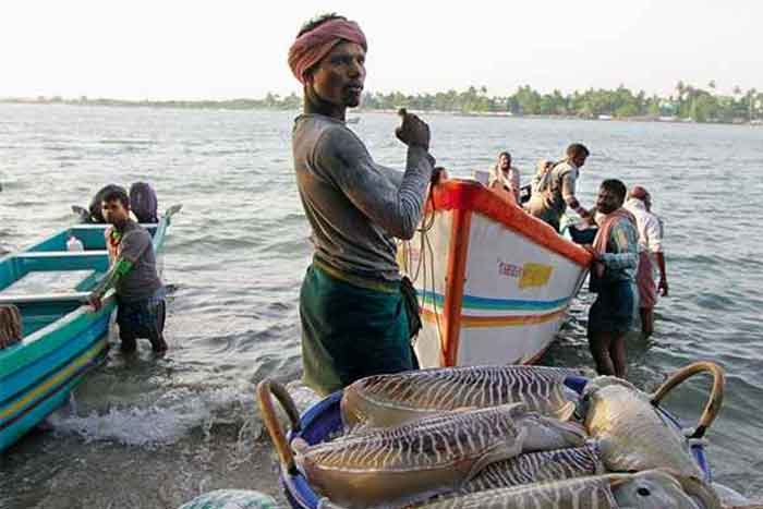 fishing-in-the-troubled-waters-of-kerala-countercurrents