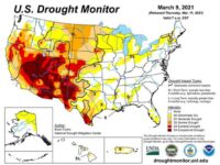 Worst drought in modern history may hit Western U.S.