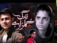 The Great Success of Zindagi Gulzar Hai is  Rooted in the Quest of People to Reconcile Tradition and Modernity