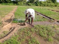 Saving Water, Ensuring Its Reach to the Poorest