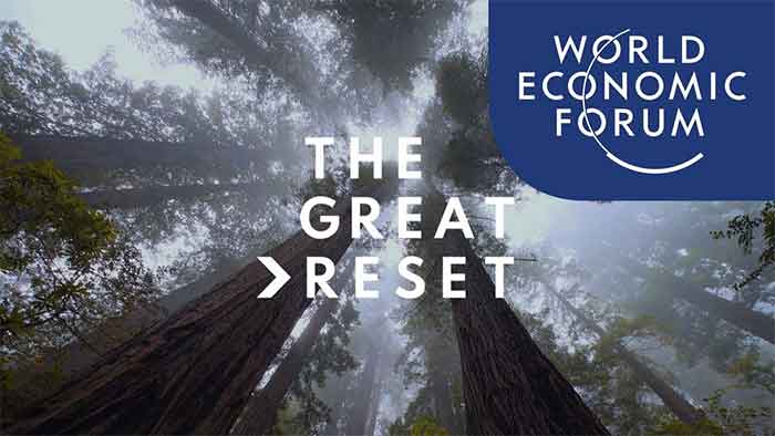 The great reset Capitalism