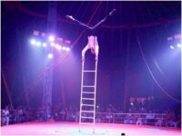 The financial situation for the circus business has gone from bad to worse due to the Covid pandemic and lockdown. (Photo Credits: Rambo Circus)