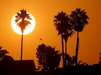 Heatwave in U.S.: From Coast to Coast, Millions Affected