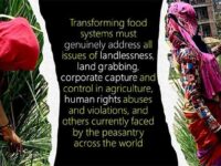 Are we hungry for change for genuinely transforming food systems?