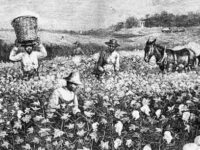 American Slavery and Global Capitalism