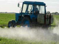 Bathed in Pesticides: the Narrative of Deception