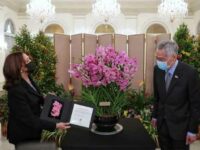US Vice-President Kamala Harris (L) being presented with a spray of orchids named after her, as Singapore Prime Minister Lee Hsien Loong (R) looks on, Singapore, August 23, 2021