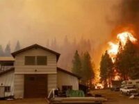 The Dixie Fire Disaster and Me – How I became a climate refugee
