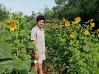 Ajay Rattan from Niun village in Bilaspur district of Himachal Pradesh has transformed the way he grows and markets his crops since the pandemic struck (Picture credit - Raohit Prashar)