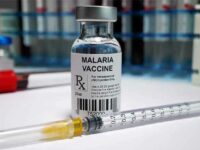 Malaria vaccine: Vital addition to toolkit for preventing malaria but no magic bullet