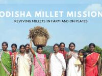 Odisha Millets Mission- a step towards combating climate vulnerability and promoting sustainable food systems
