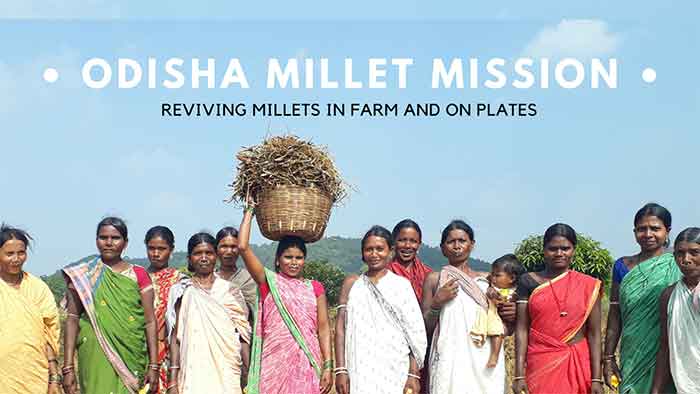 Odisha Millets Mission