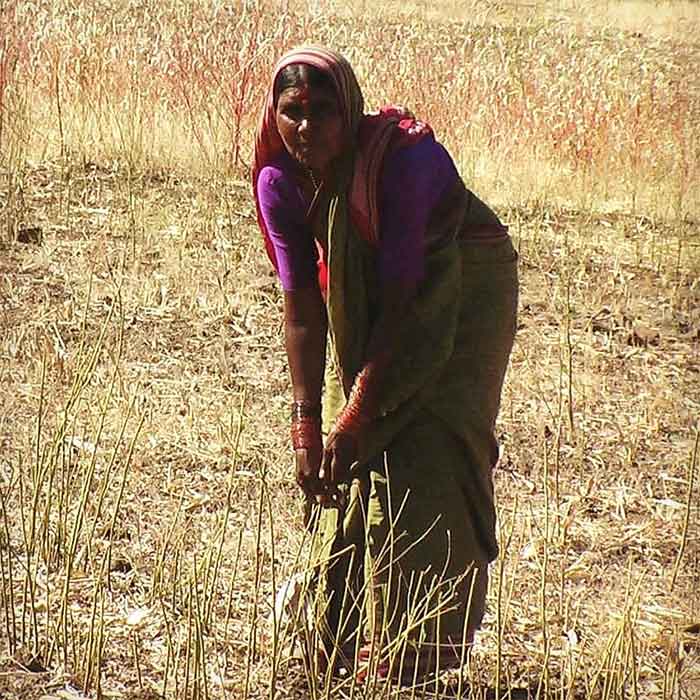 farmer woman