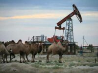 A Bipartisan Oil Rush or the Phasing Out of Fossil Fuels?