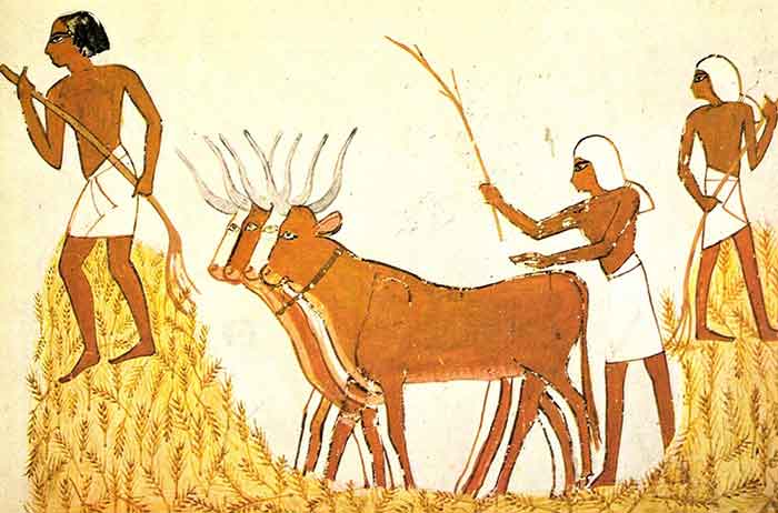 Ancient Agriculture