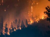 Drought and Forest Fires in Himachal Pradesh
