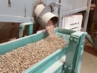 Wood-Pellet Manufacturing in a Rainforest