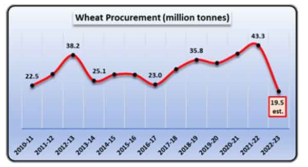 wheat procurement