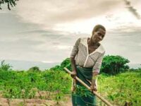 The Alliance for a Green Revolution in Africa Is Hurting Farmers, Not Helping