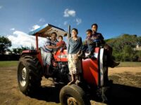 Family affair: Sione Vaianginam, a farmer, with his children on their tractor in Nukuʻalofa, the capital of Tonga. (Photo credit: Luis Enrique Ascui/Asian Development Bank/Flickr, CC BY-NC-ND 2.0)