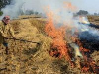 Need to Recognize Wider Dimensions of Stubble Burning