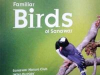 Familiar Birds of Sanawar