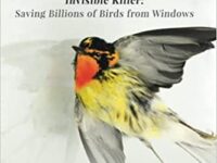 Healthy Ecosystems Need Birds, but Billions Fatally Strike Our Windows Every Year