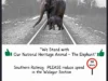 Half a rupee for the largest animal that walks the earth