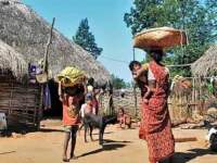 Migrant Gutti Koyas (Murias) in Telangana facing a humanitarian crisis