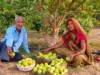 Strengthening Sustainable Livelihoods of Small Farmers 