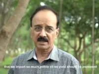 GM Mustard: Facts and Lies