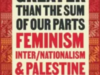 Greater Than the Sum of Our Parts – Feminism Inter/Nationalism & Palestine